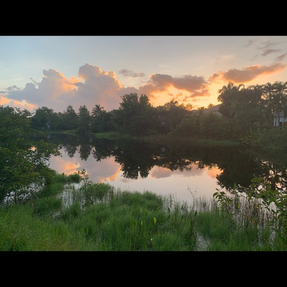 Meet your Posher, Edin - Picture 2 of 7